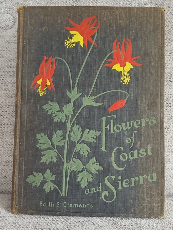 Other - Flowers Of Coast And Sierra